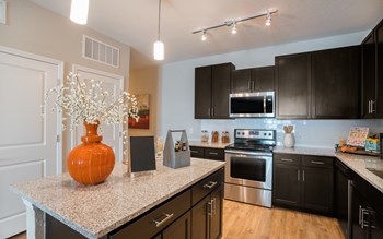 9104 Canopy Oak Lane 1-3 Beds Apartment for Rent - Photo Gallery 42